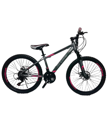 ALVAS ARO 24