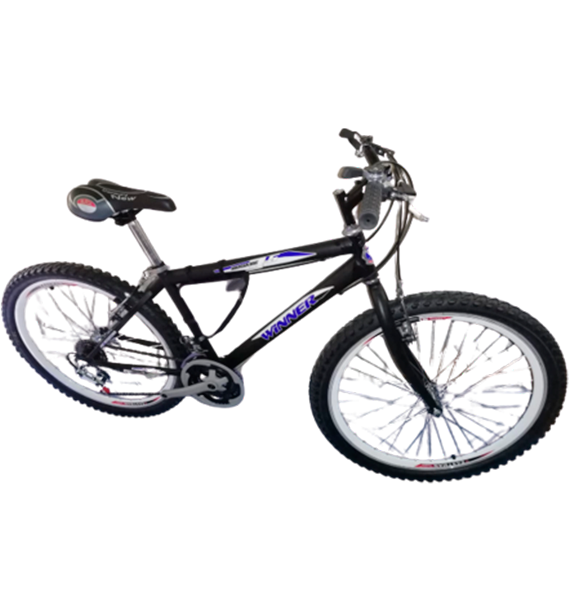 WINNER ARO 26 ACERO